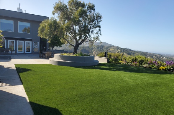 San Francisco synthetic grass landscaping